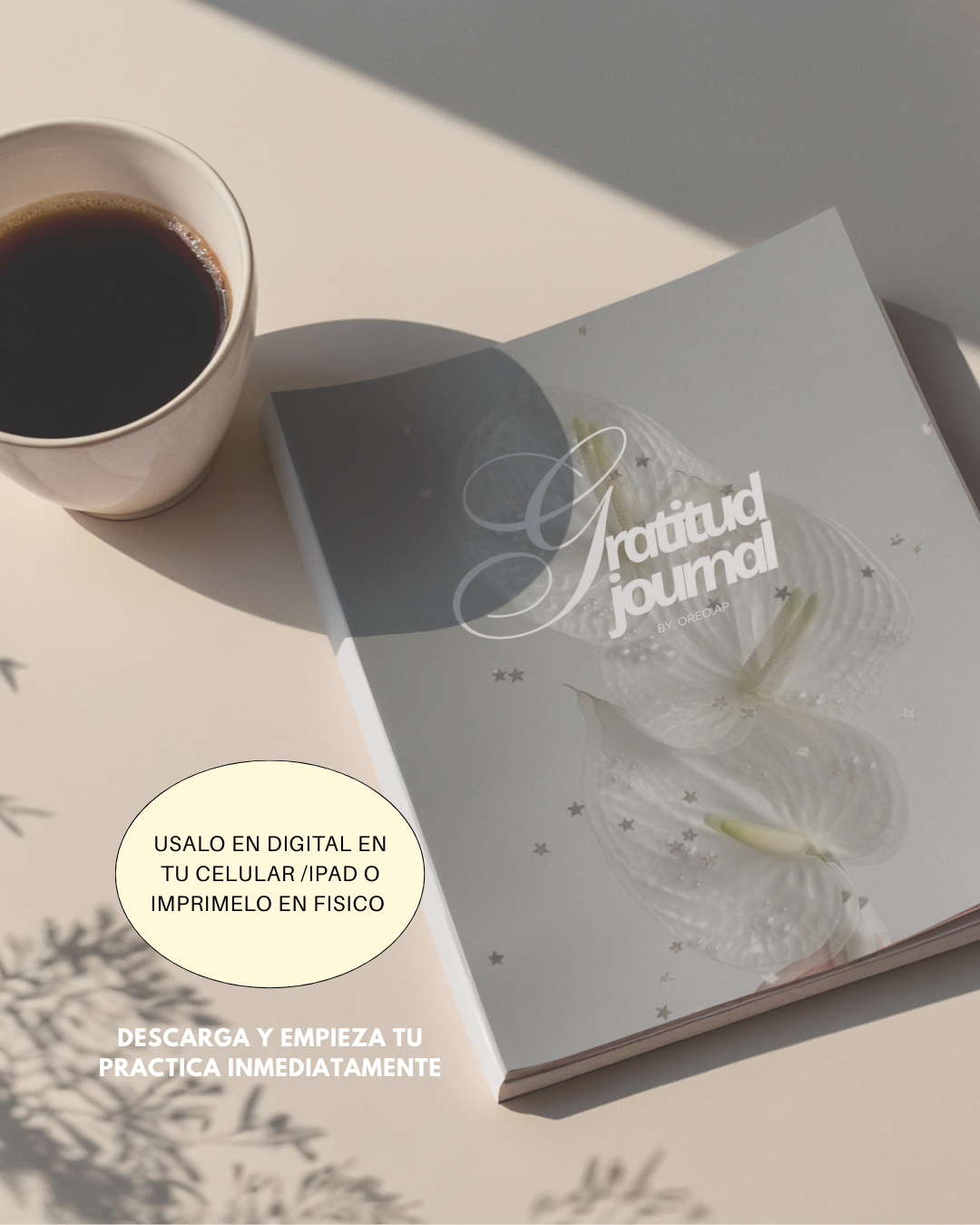 Gratitude Journal (MINI GUIA) ✨ - Transforma tu cerebro y tu autoestima con gratitud