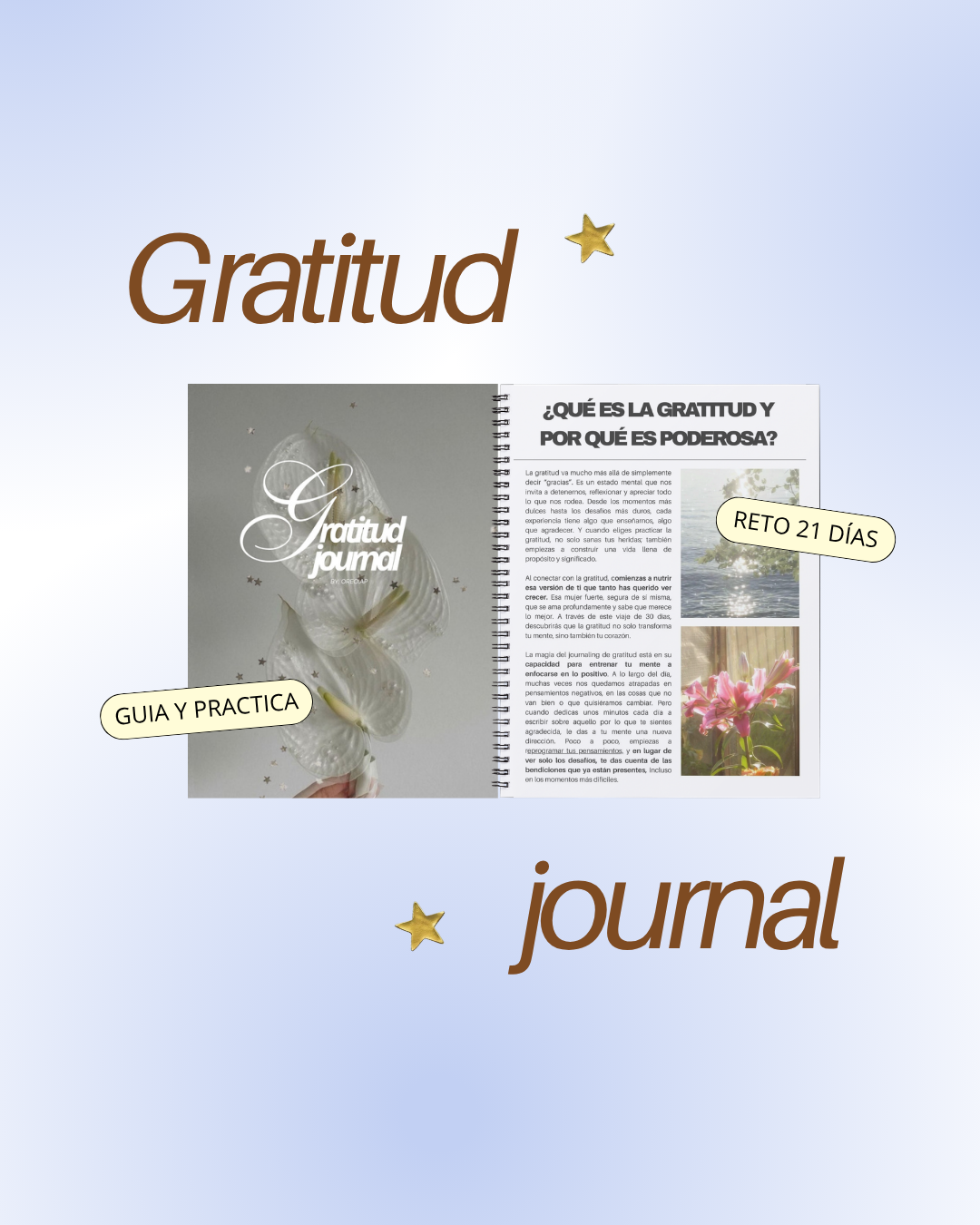Gratitude Journal (MINI GUIA) ✨ - Transforma tu cerebro y tu autoestima con gratitud