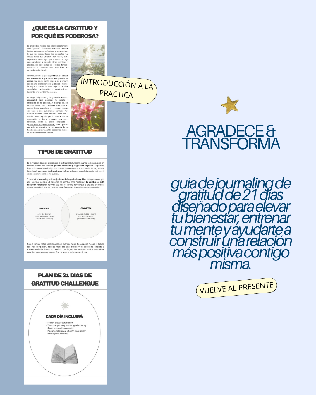 Gratitude Journal (MINI GUIA) ✨ - Transforma tu cerebro y tu autoestima con gratitud